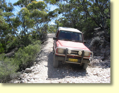 The Descent to Eyre Bird Obseravatory is only for 4 wheel drive vehicles. The descent begins very soon after you see the Microwave Tower.