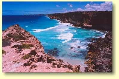 The Bunda Cliffs - One of Australia's great natural wonders. 