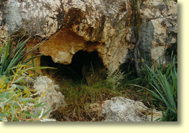 These small blowholes are located north of the Eyre Highway. Take the turnoff and look for a red marker by the side of the road.