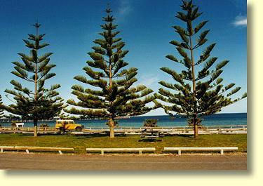 Smoky Bay Foreshore