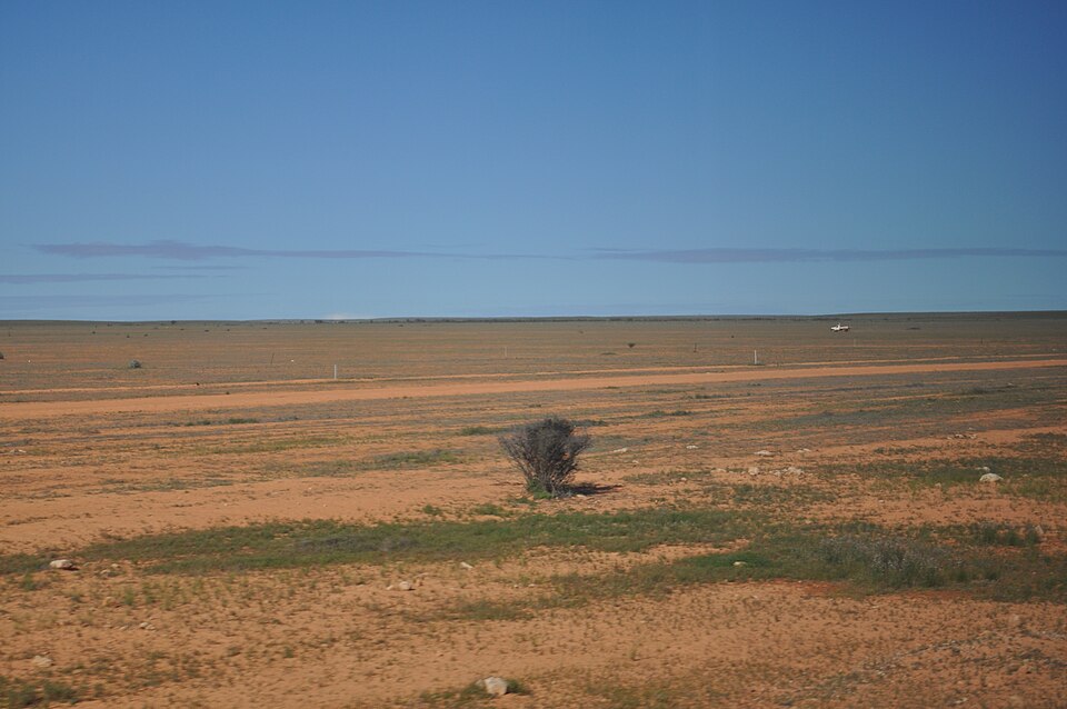 Flat red-brown plain covered in low saltbush with one small bush, under a wide blue sky