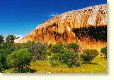 Karcultaby Area School should be congratulated for carrying out revegetation work around the base of Pildappa Rock. Good on you guys!