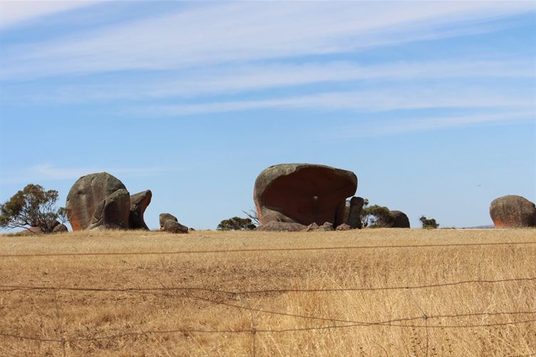 Murphy's Haystacks seen across a wheat paddock