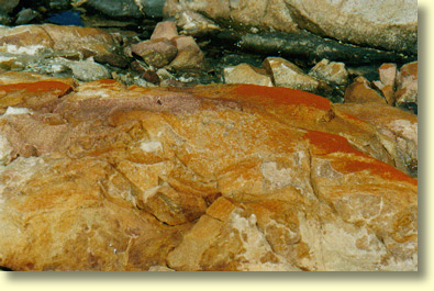 Lichen on Granite - Smooth Pool