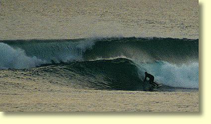 Solitary sunset surfer at Cactus Beach, on the far west coast of South Australia
