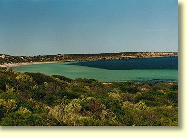 Cape Wittlebee Conservation Park.