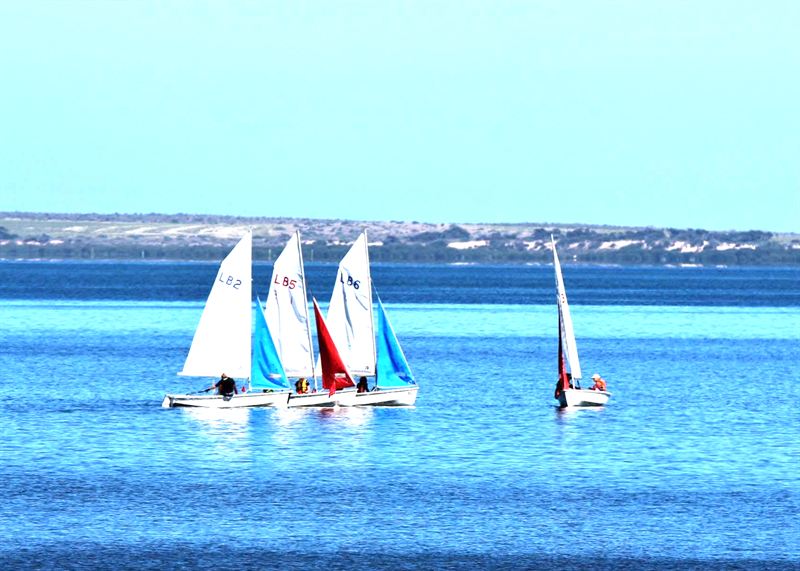 Sailing dinghies on Murat Bay off the Ceduna Sailing Club