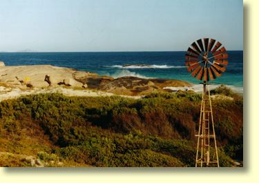 Esperance has plenty of wind.