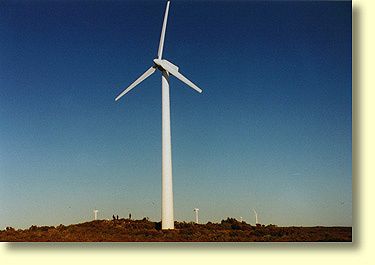 Esperance's windfarm supplies a substantial proportion of Esperance's energy needs.