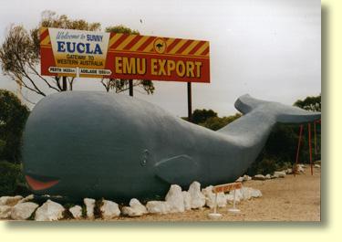 Eucla's Lager Loving Whale
