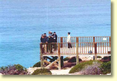 Whale viewing platform at the Head of the Great Australian Bight.
