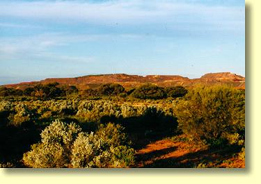 Iron Knob is situated in Saltbush country. To the northwest lies the pastoral country and wilderness areas of the Gawler Ranges. 