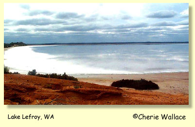 Lake Lefroy Western Australia