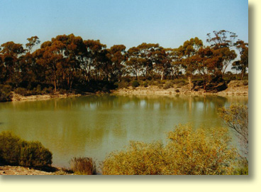 Bromus Dam is an excellent camp site for budget travelers. Bromus Dam is located about 32 kilometres south of Norseman.