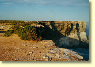 Clifftop Lookout west of Nullarbor Roadhouse.