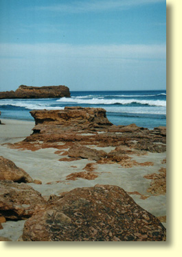 Wandilla Beach is a beautiful fishing beach southwest of Nundroo. To get there you will definitely need local directions from Nundroo Roadhouse or Kooringabie Craft Centre. This area might provide a good camp spot although it is a very exposed to the wind. Warning: Don't swim at this beach