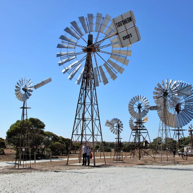 The Penong Windmill Museum, with Bruce, the biggest windmill in Australia, on the right behind a row of restored windmills