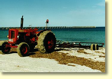 A big red tractor at Smoky Bay.  Used by farmers and oyster growers to launch boats from the beach. A common form of transport around town.