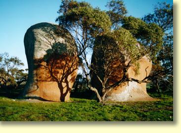 Murphys Haystacks are one of nature's little gems. Check out the tree shadows on the rock face.