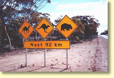 Yalata Road Sign with road hazards for crossing the Nullarbor. Avoid Camels, Wombats and kangaroos.